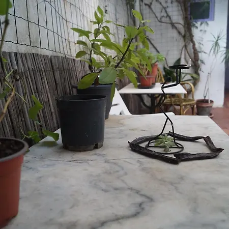 Casa Rural La Jara -fonda De Navarres- Мини-отель